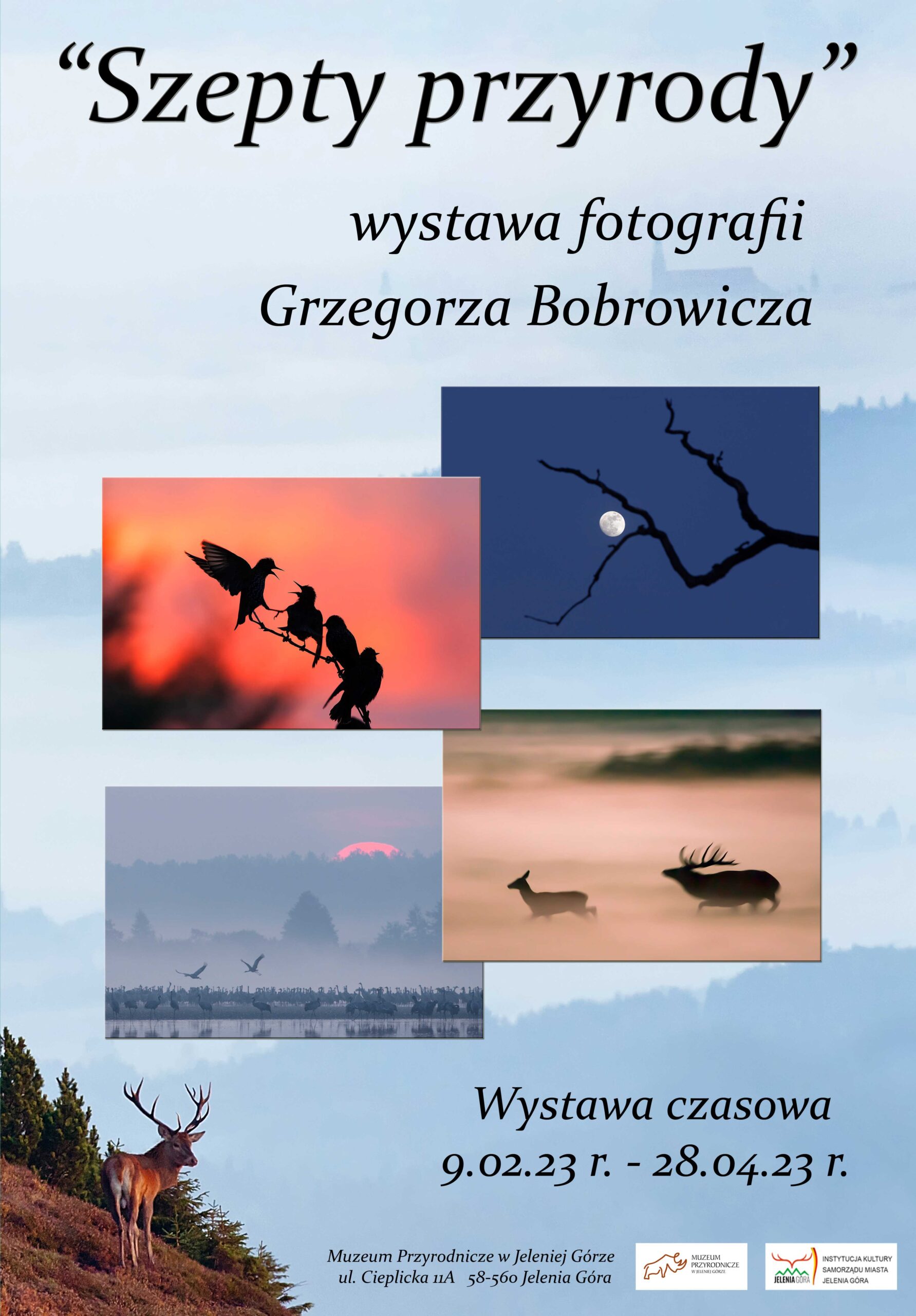 Plakat przedstawia zdjęcia zwierząt.