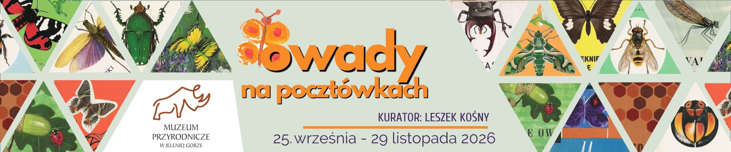 „Owady na pocztówkach” wystawa czasowa 25.09.26-30.11.2026 r.